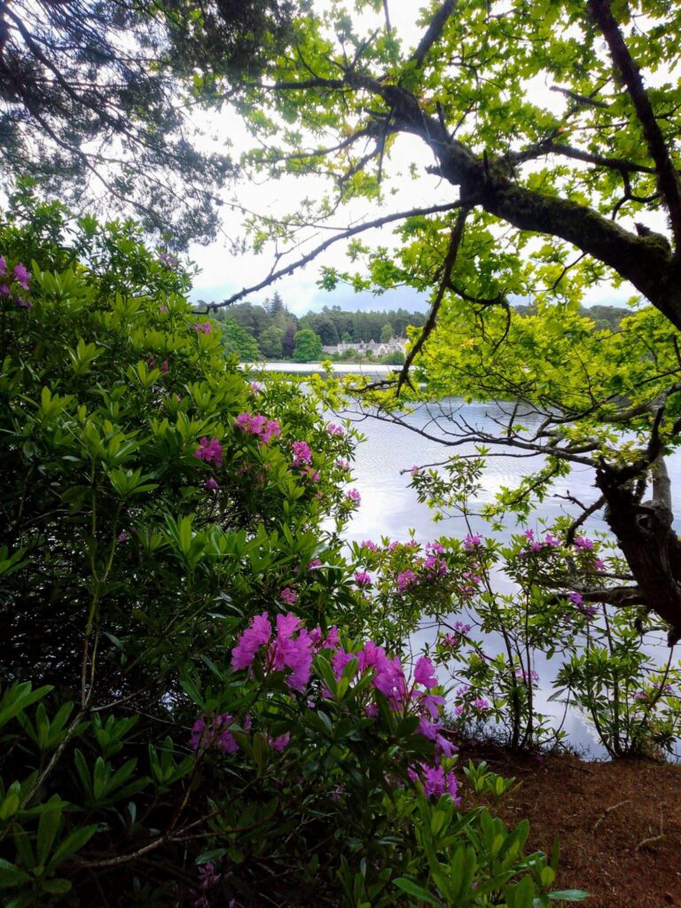 Loch na Bo Evening Walk